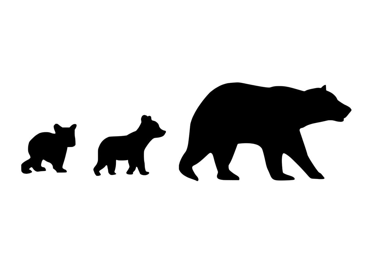 Bear and cubs