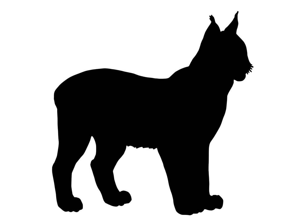 Bobcat 1, Pre cut glass shape for glass fusing and crafting