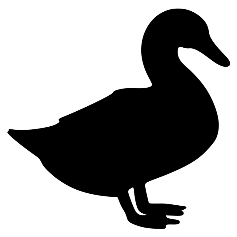 Duck 1