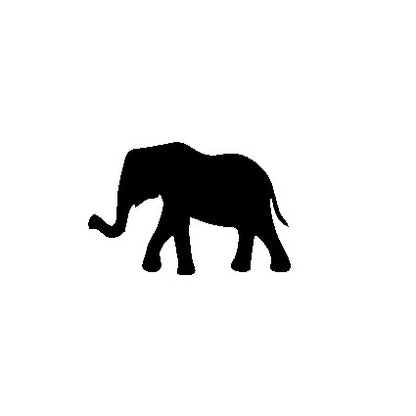 Baby African Elephant
