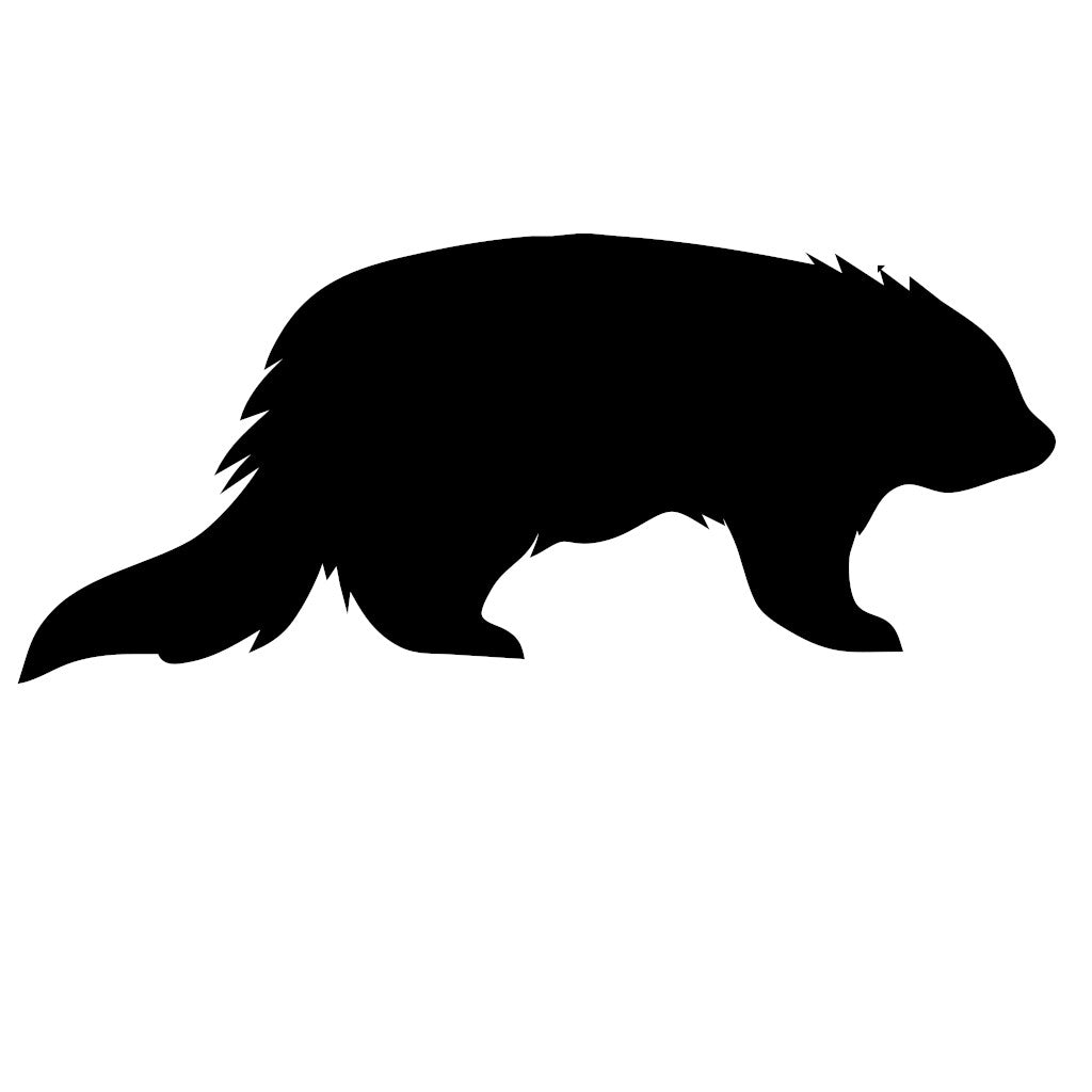 Binturong