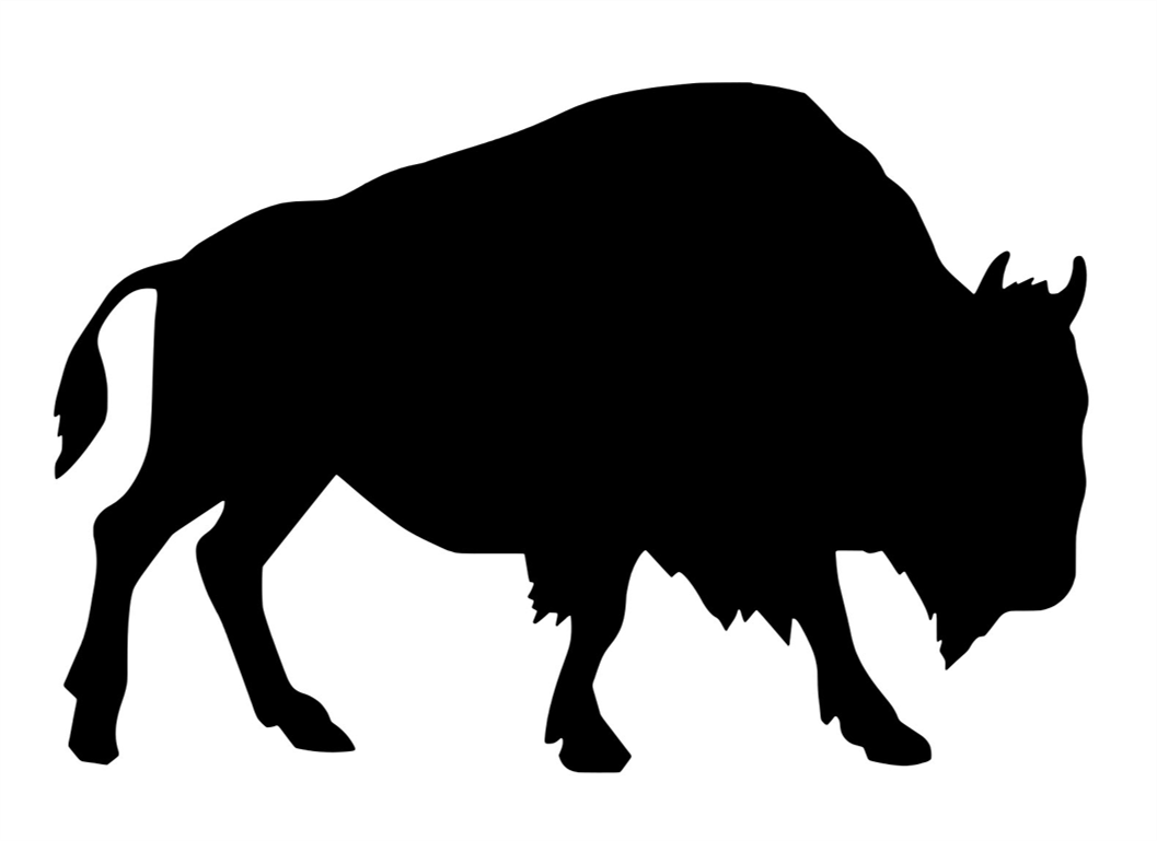 Bison 1