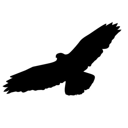 Buzzard Pre cut glass shape for glass fusing COE 90, COE96
