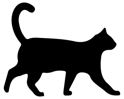 Cat 1