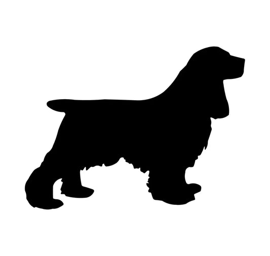 Cocker Spaniel
