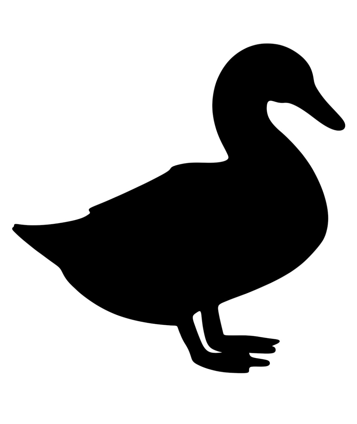 Duck 1
