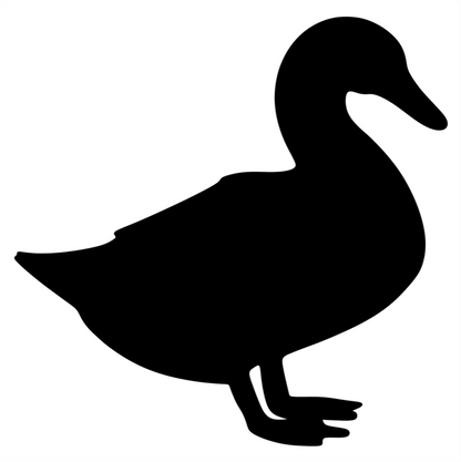 Duck 1