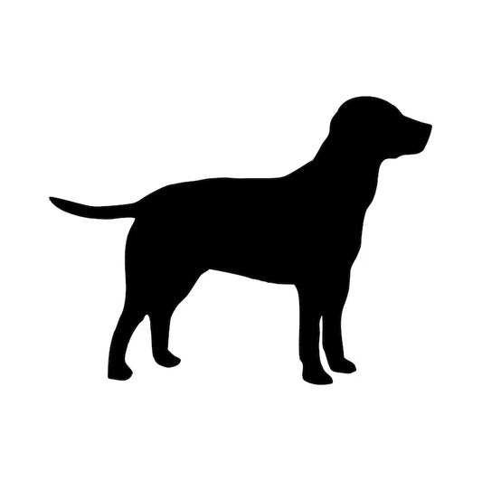 Labrador