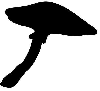 Mushroom 3