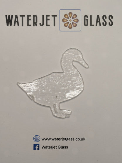 Duck 1