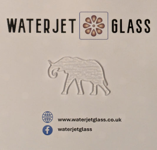 Male African Elephant