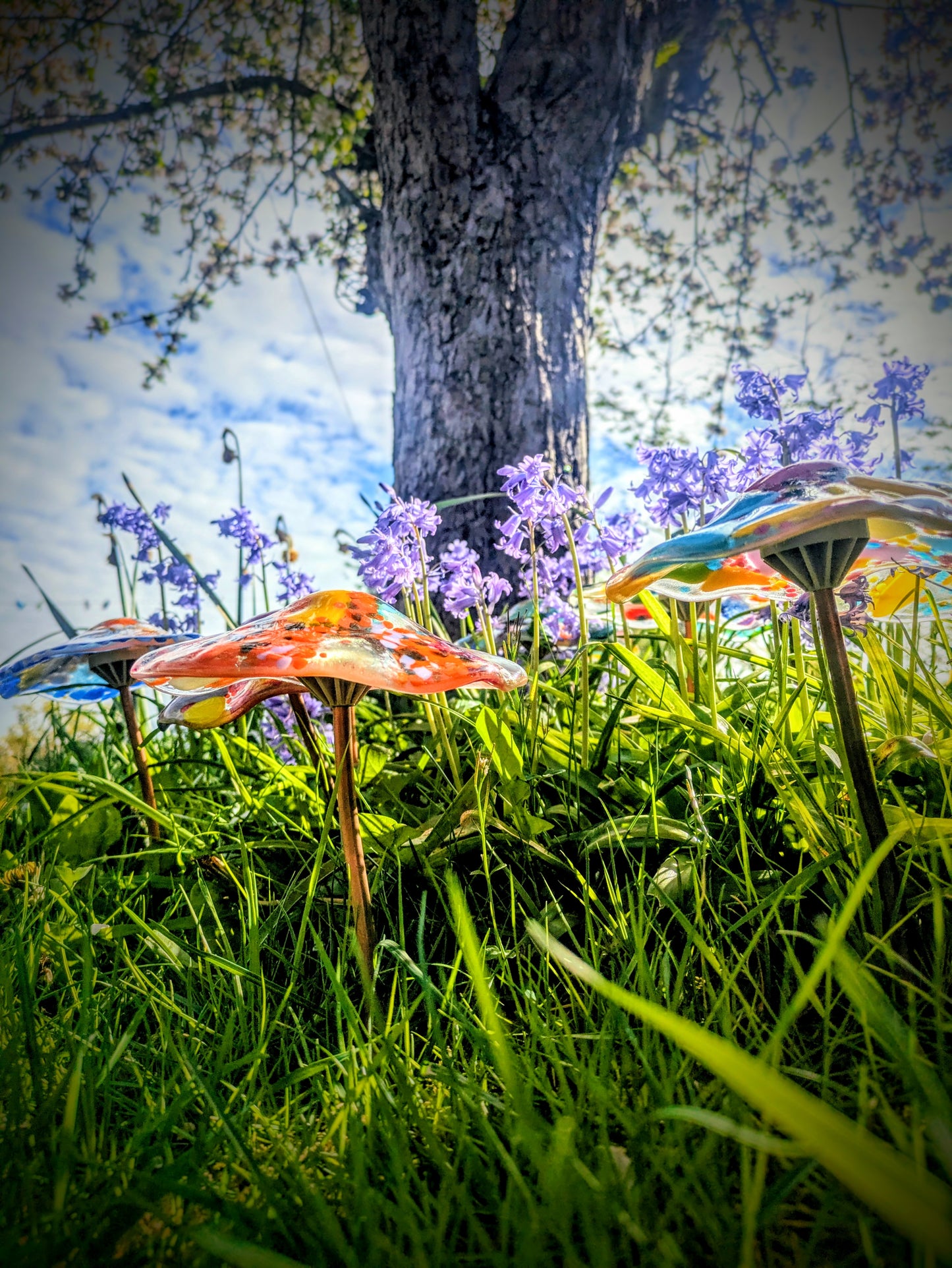 Toadstool