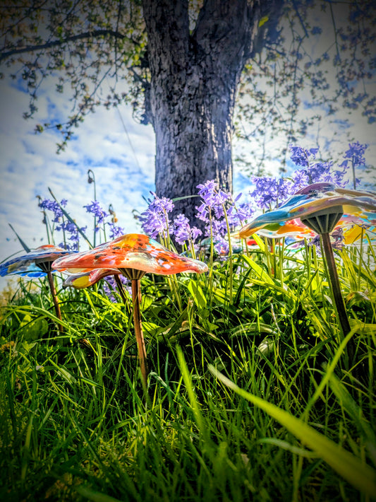 Toadstool Universal fit (MOUNT ONLY)