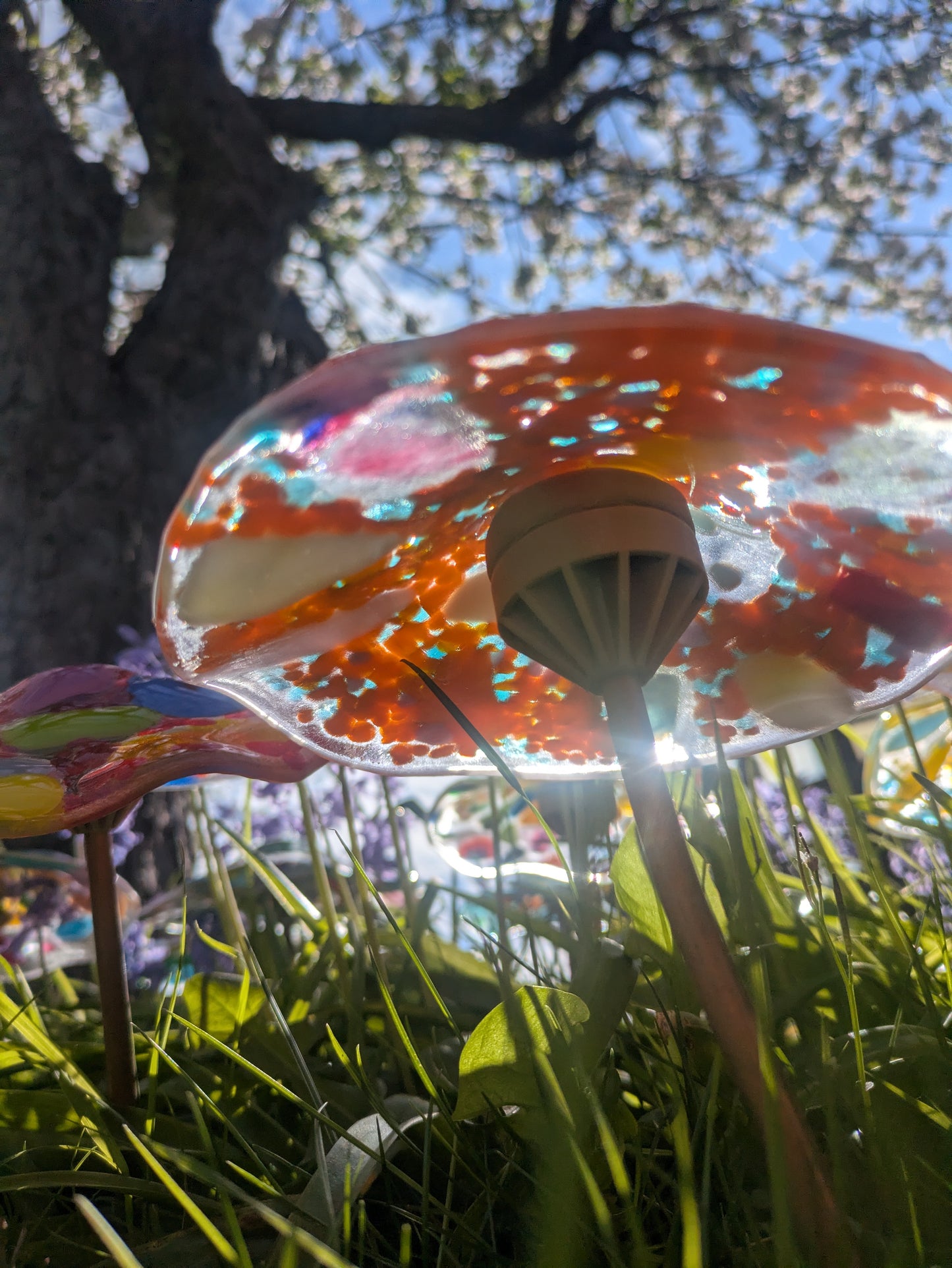 Toadstool