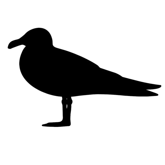 Seagull 5 pre cut glass shape for glass fusing COE 90, COE96