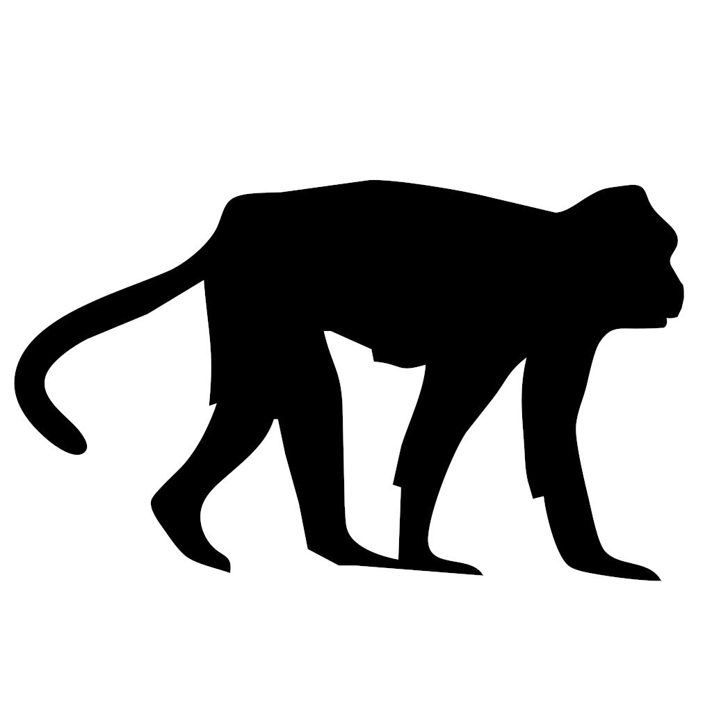 Thai Monkey 2