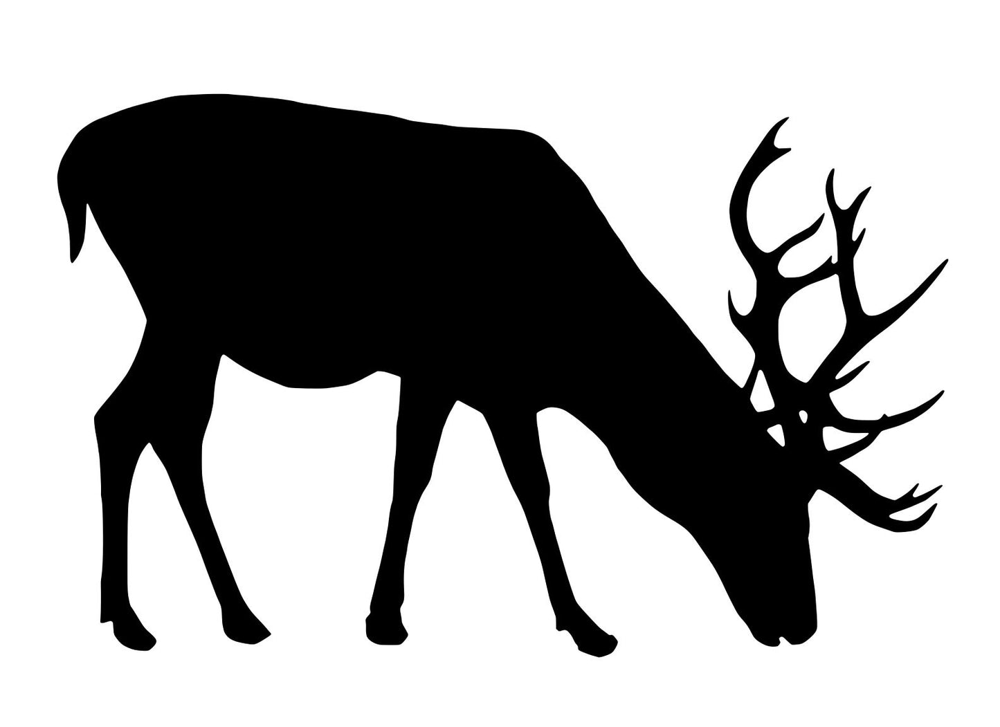 Deer 2