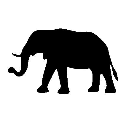 Female African Elephant