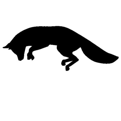 Fox 4