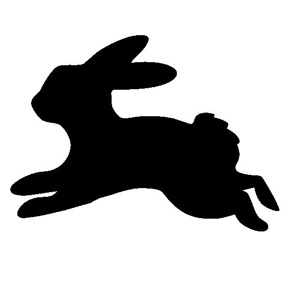 Leaping Bunny
