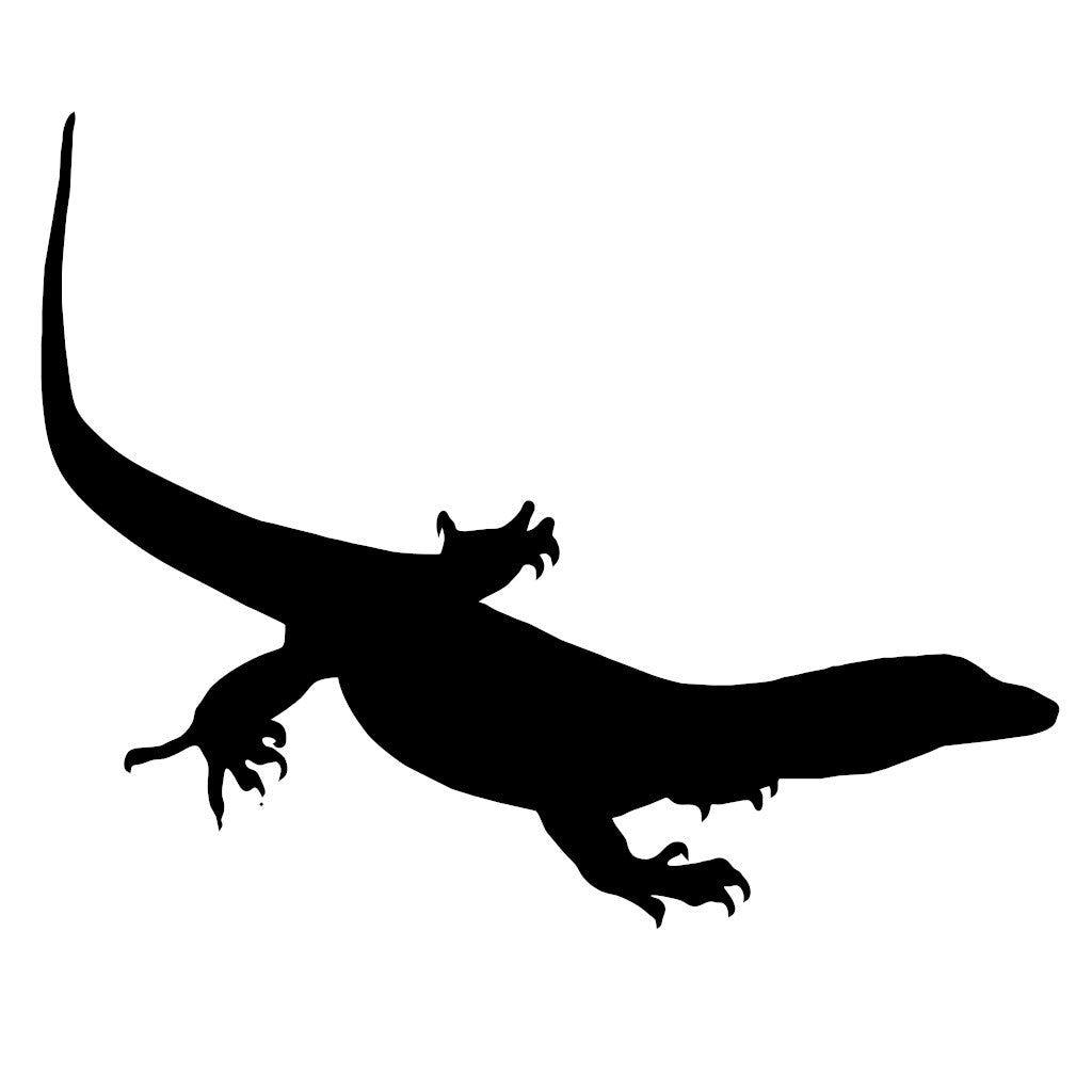 Monitor Lizard 1