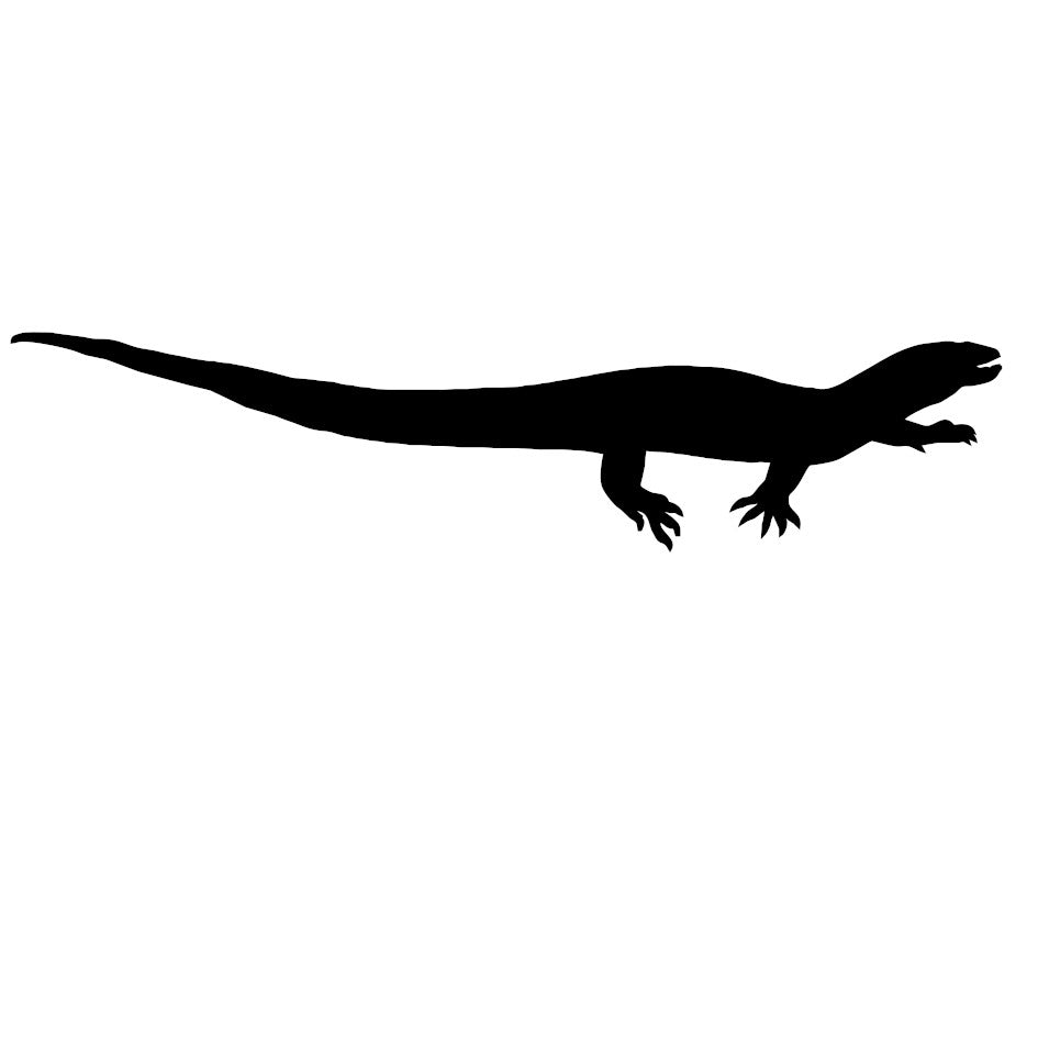Monitor Lizard 2