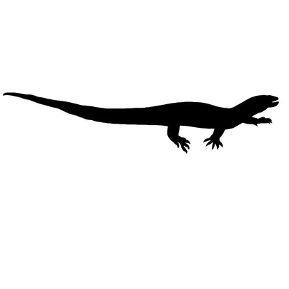 Monitor Lizard 2