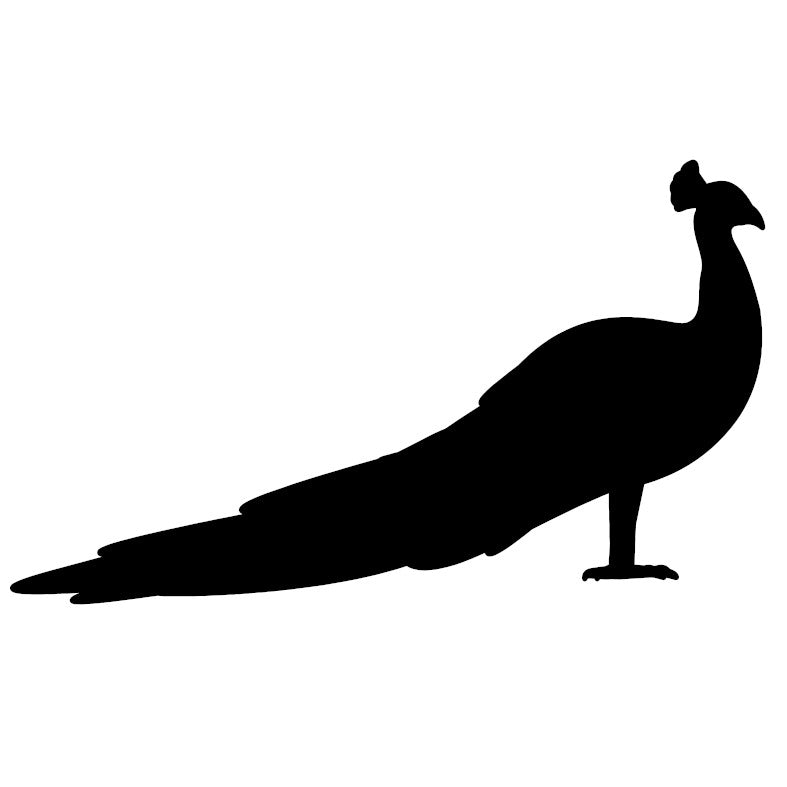 Peacock  2