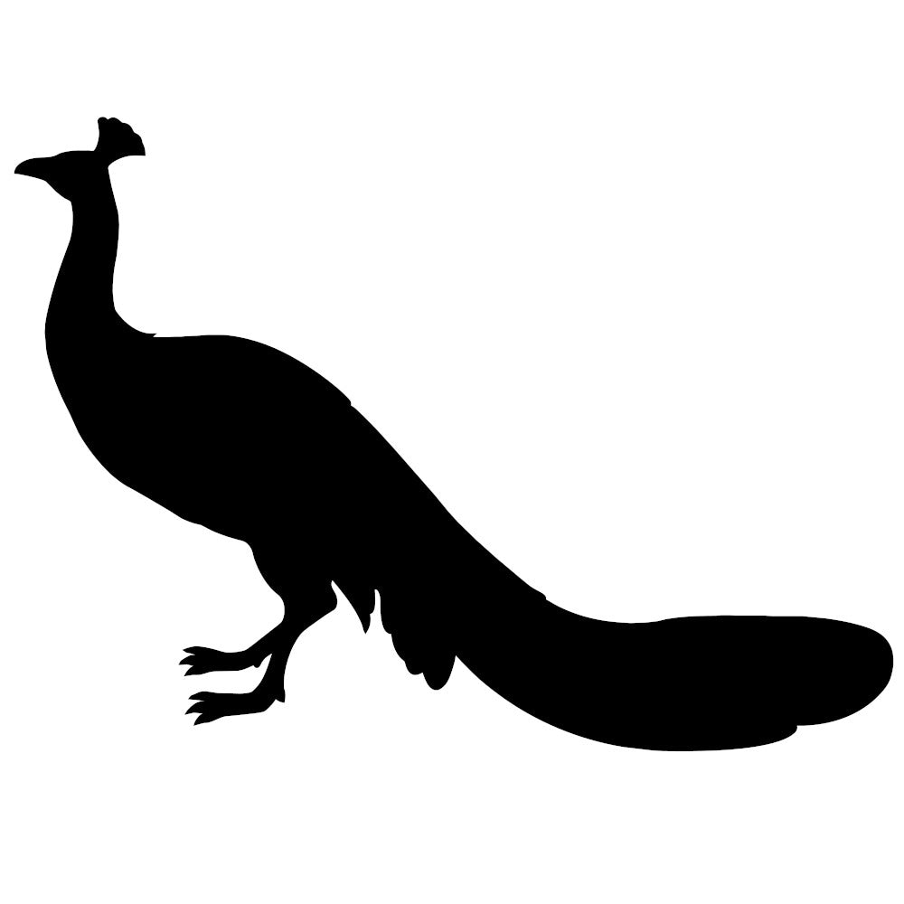 Peacock  5