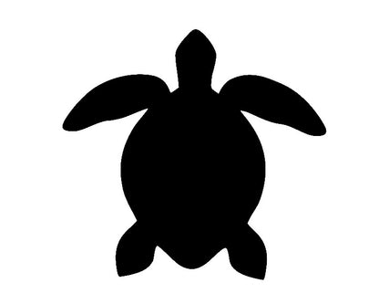 Turtle 1