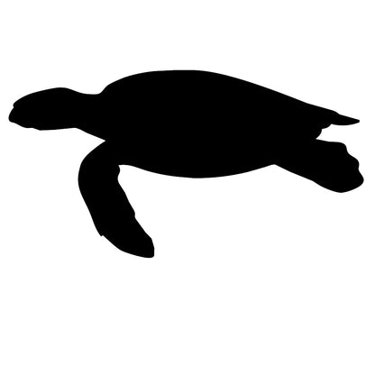 Sea Turtle 1