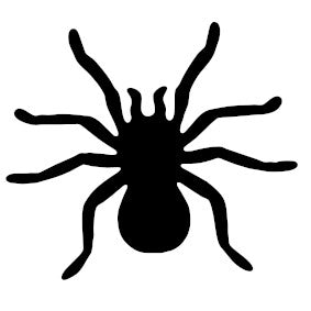 Spider 1