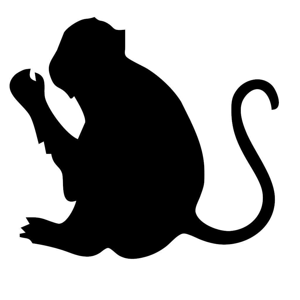 Thai Monkey 3
