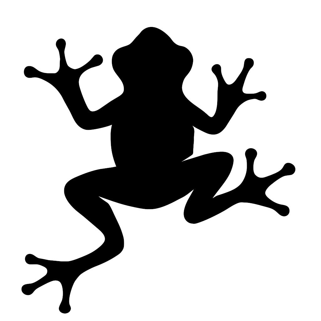 Tree Frog